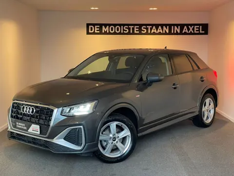 Audi Q2 35 TFSI S Edition (bj 2024, automaat)