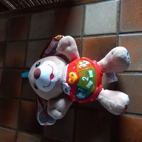VTech Baby Knuffel & Speel Puppy - Educatief Babyspeelgoed