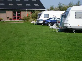 Kamperen tussen de koeien en de schapen op camping bij De Koog