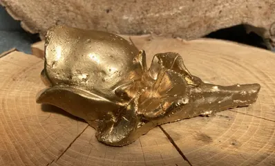 ROOS STEEN GOLD NIEUW