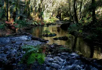 Vertaler spaans-nederlands nederlands-spaans aangeboden