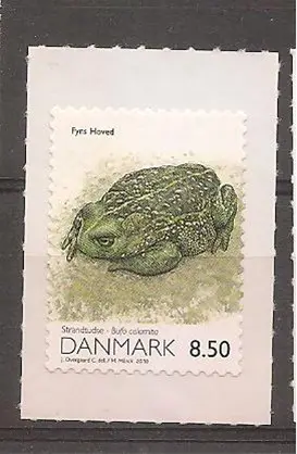 Rugstreeppad, uit Denemarken
