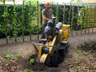 Boomstronk verwijderen, met stobbenfrees / stronkenfrees