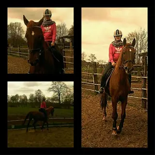 Gezocht; verzorgpony