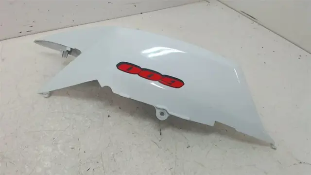 RECHTER ACHTERKANT Suzuki GSX R 600 2008 - 2010