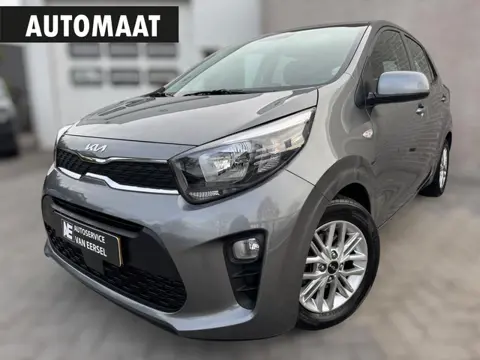 Kia Picanto 1.0 DPi DynamicLine CAMERA / AUTOMAAT / CARPLAY / WEINIG KM'S / AIRCO / BLUETOOTH / NL A