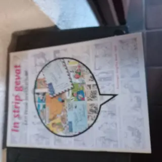 In strip gevat - Een eeuw beeldverhaal