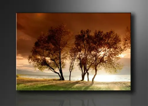 Nieuw canvas schilderij Natuur 120 x 80 cm