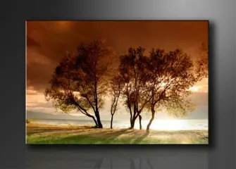 Nieuw canvas schilderij Natuur 120 x 80 cm