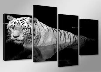 Nieuw canvas schilderij 4-luik Tijger 130 x 80 cm