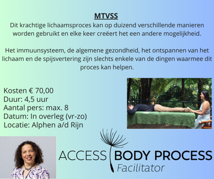 Access Body process workshops
