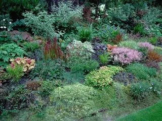 Noordoostpolder in Bloei: Kleurrijke Poldertuinen vol Geur