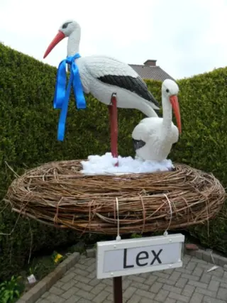 Nieuw. 2 stuks 3d ooievaars met echt nest van takken.