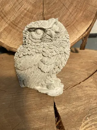 UIL ZITTEND STEEN NIEUW