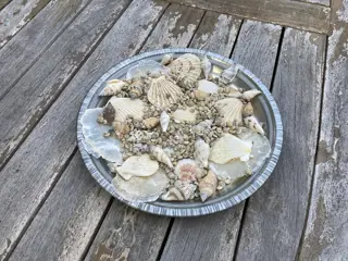 SCHELPEN ASSORTIMENT NIEUW