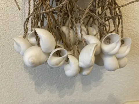 SCHELPEN BUNDEL GROOT WIT NIEUW