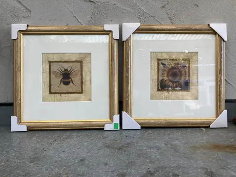 SCHILDERIJ ZONNEBLOEM EN BIJTJE 35,5x35,5 cm Nieuw