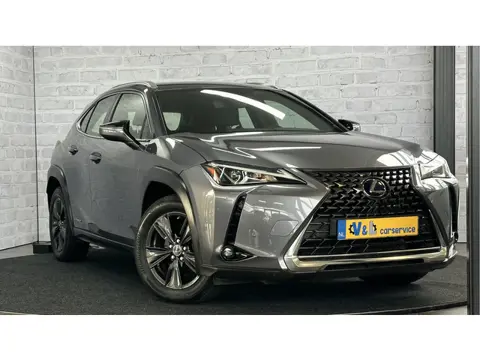 Lexus UX 250h First Edition / Stoel/stuurverwr. / Carplay / ACC