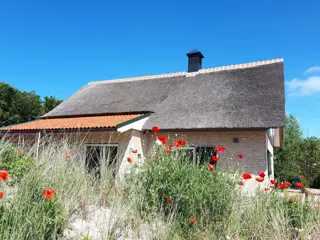 Rietgedekte villa op 5 minuten fietsen van strand nabij De Koog