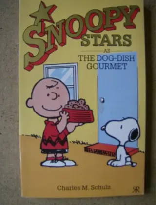 Snoopy stars pocket 4 engels adv. 1069