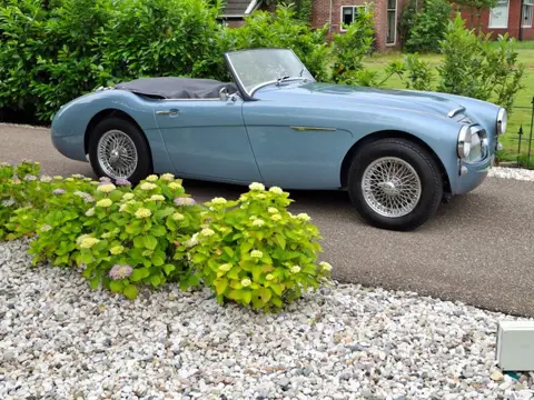 Austin Ausin healey CABRIO