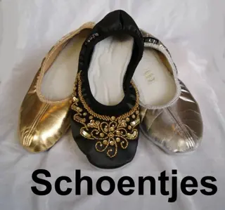 Buikdans schoentjes dansschoenen dames goud zilver paillette