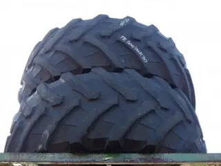 R30 Taurus 600/70R30