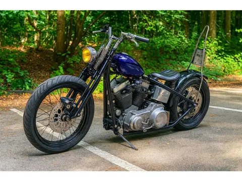 Harley Davidson Chopper 1200 Evo Bobber Lanesplitter Springer