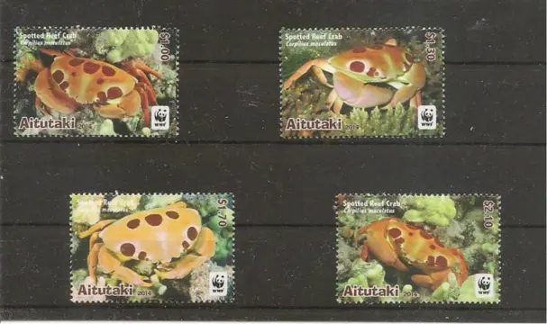 Aitutaki Spotted Reef Crab