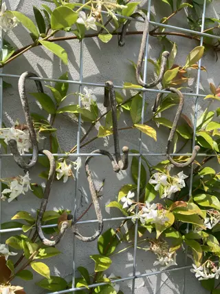 OUDE S-HAKEN SET 6 STUKS