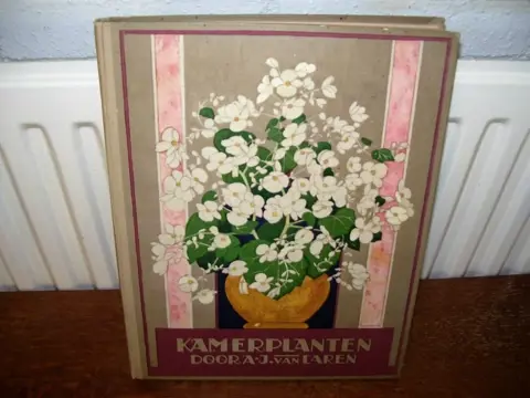 Verkade album kamerplanten