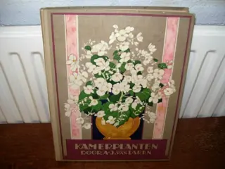 Verkade album kamerplanten