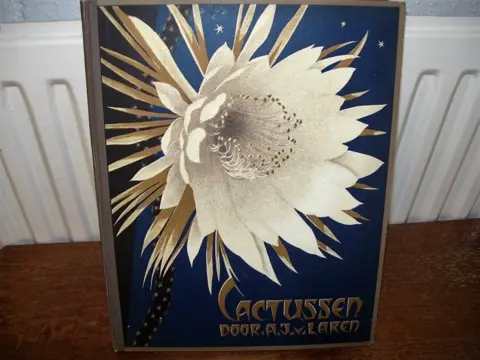 Verkade album Cactussen