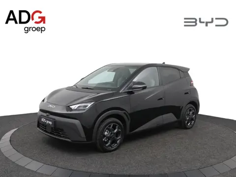 BYD DOLPHIN SURF Comfort 43 kWh / Snel leverbaar / 360° camera / 310 KM / Apple Carplay