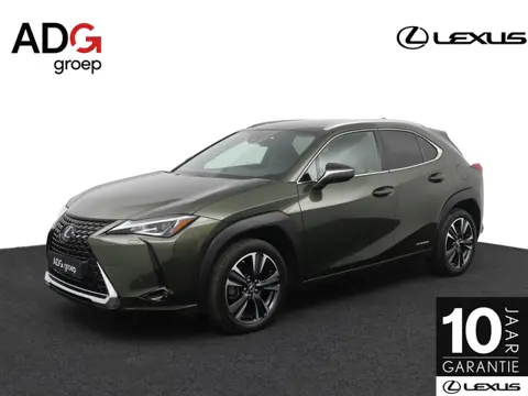 Lexus UX 250h Business Line | 18 Inch Lichtmetalen velgen | Privacy Glass | Blind Spot Monitor
