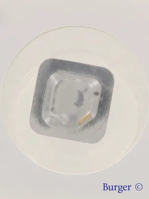 Cartier Pasha Yellow Gold Screw