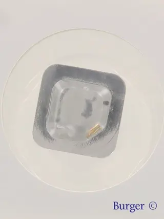 Cartier Pasha Yellow Gold Screw