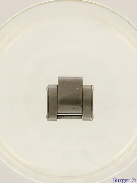 Rolex Link Rolex Oyster RIVET