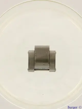 Rolex Link Rolex Oyster RIVET