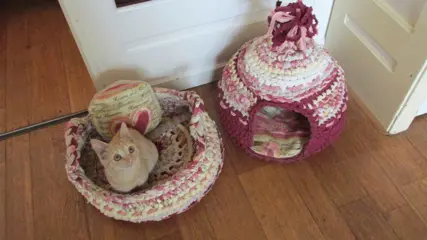 Superleuke en originele honden- en katten-artikelen