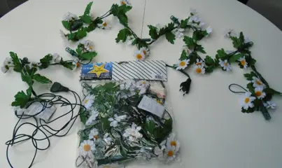 LICHT SNOER MET MARGRIETEN NIEUW