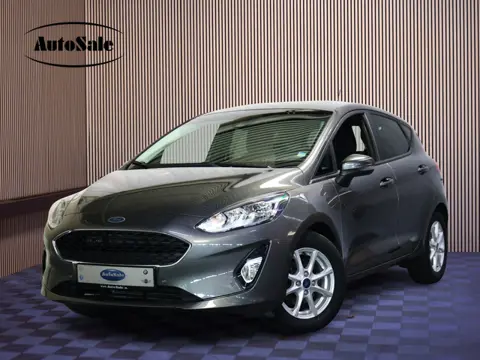 Ford Fiesta 1.0 EcoBoost Titanium AUT CARPLAY DAB CAMERA STOELVW CRUISE '18