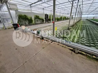 Javo Vaste transportband 86 meter x 20 cm