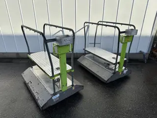 Buitendijk & Slaman Leafman electro buisrailwagen 55cm