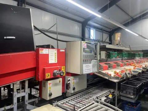 Aweta GMB4-12+1 paprikasorteermachine met opvoerband en weegschalen