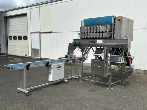 Manter VP10000 afweegmachine met Aweta opvoerband voor cherry tomaten en doosjes vuller