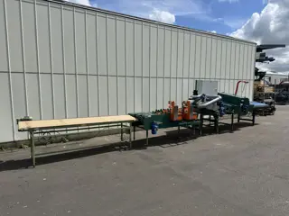 Havatec bloemenboslijn voor tulpen