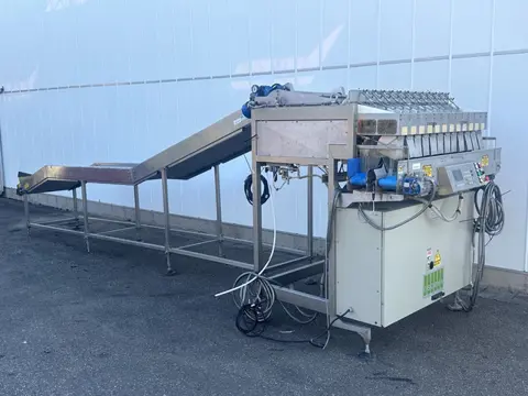 Sorma F12-126 afweegmachine met rollenbaan elevator