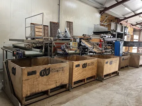 Total Systems Bercomex Potveer 160 cm brede kistensorteerlijn voor bloembollen, aardappels, uien en 