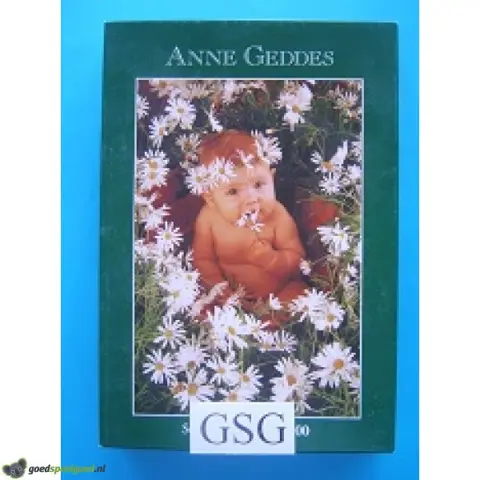 Anne Geddes margrietjes 500 st nr. 57904